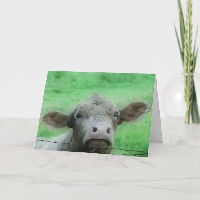 Hej där kort (Framsida)