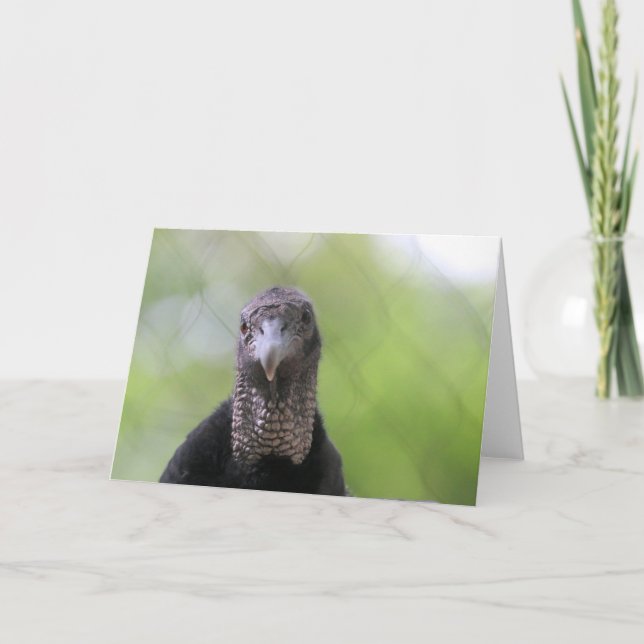 Hej där kort (Framsida)