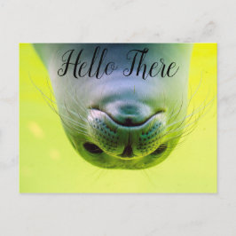 Hej där Seal Vykort