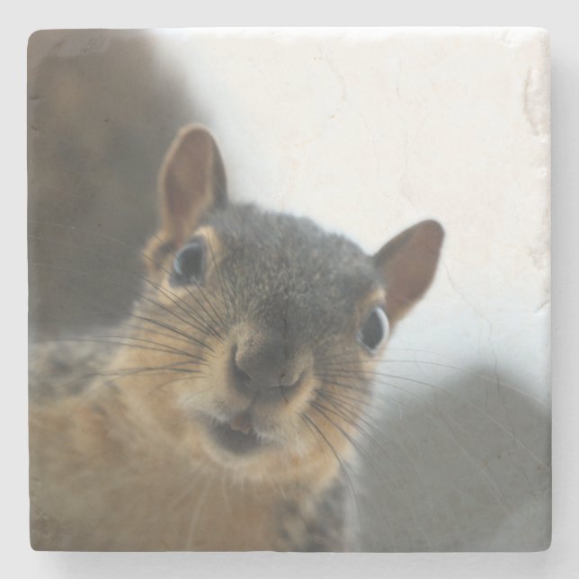 Hej där stenunderlägg (Framsidan)