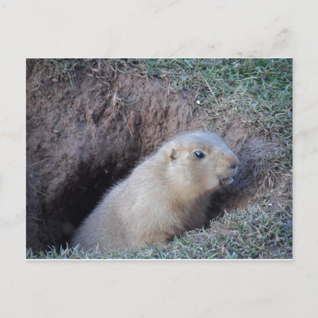 Hej där vykort (Framsida)