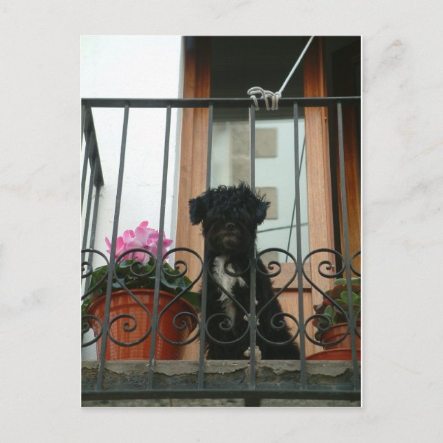 Hej där vykort (Framsida)