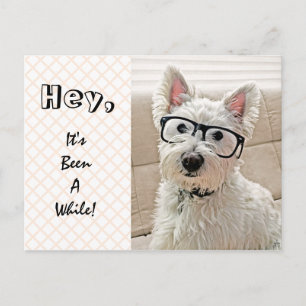 Hej, det är Asig, Westie Wearing Glasses Vykort