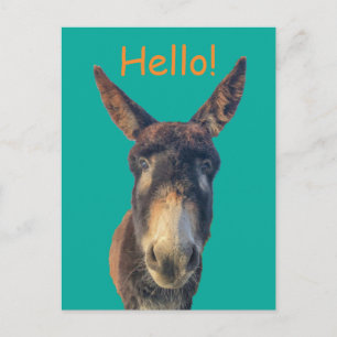 Hej Donkey Farm Animal Postcard Vykort