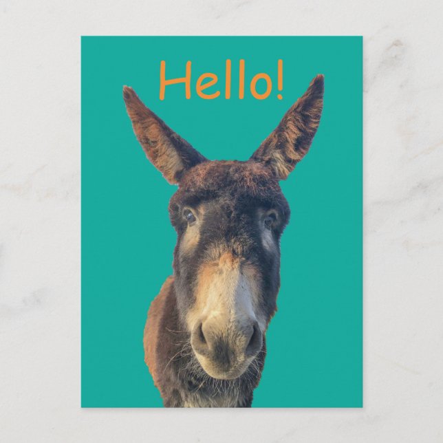 Hej Donkey Farm Animal Postcard Vykort (Framsida)