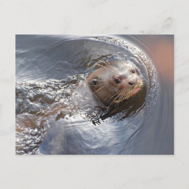 Hej du vykort (Framsida)