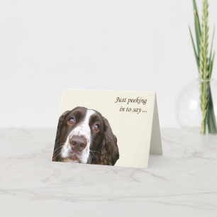 Hej English Springer Spain Card Kort