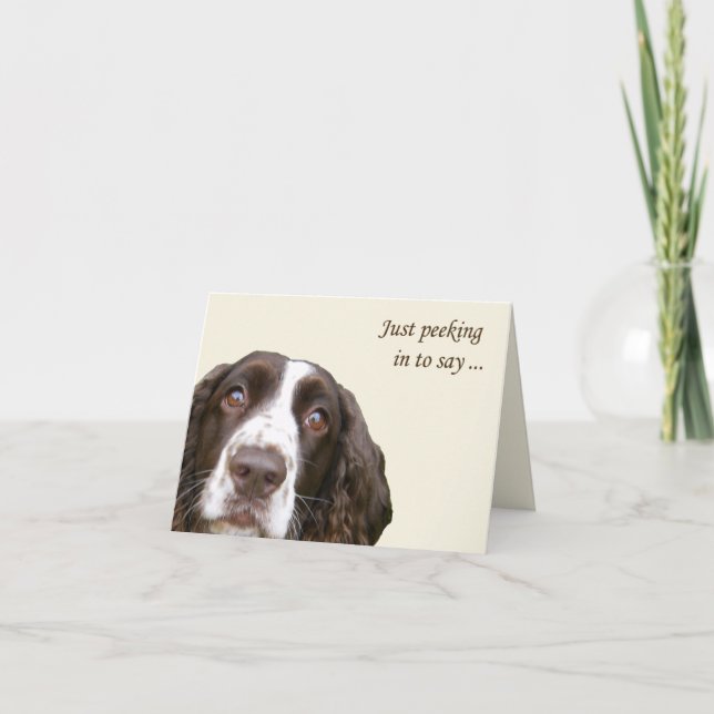 Hej English Springer Spain Card Kort (Framsida)