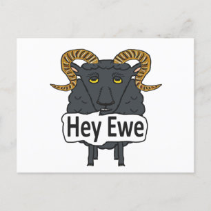 Hej Ewe Funny Sheep Pun Vykort