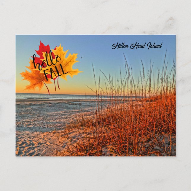 Hej Fall Hilton Head Island Beach South Carolina Vykort (Framsida)