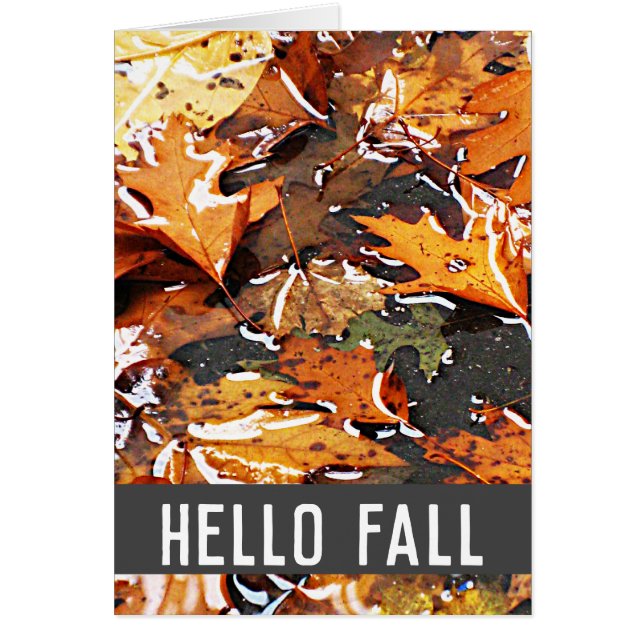 Hej Fall Rainy Löv Greeting Card Hälsningskort (Framsidan)