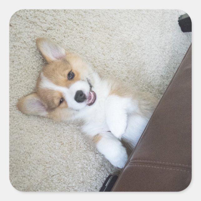 Hej, flicka fyrkantigt klistermärke (Framsida)