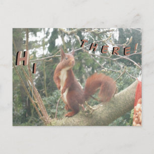 Hej för Cute Squirrel Vykort