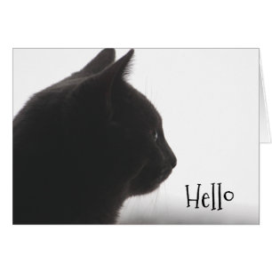 Hej från A Kattunge Hälsningskort
