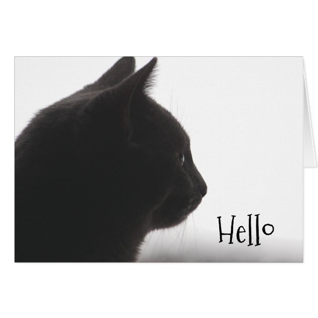 Hej från A Kattunge Hälsningskort (Framsidan Horizontal)