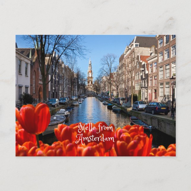 Hej från Amsterdam Vår Red Tulips Vykort (Framsida)