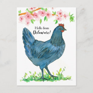 Hej från Delaware Blue Hen Chicken Rosa Flowers Vykort