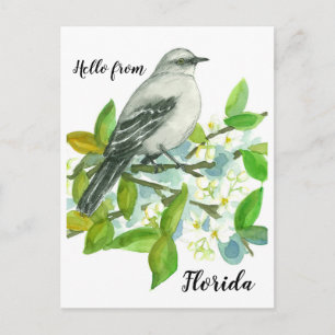 Hej från Florida Mockingbird Orange Blommar Vykort