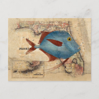 Hej från Florida Vykort