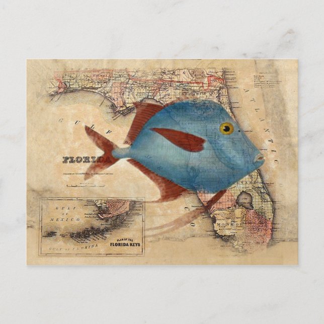 Hej från Florida Vykort (Framsida)