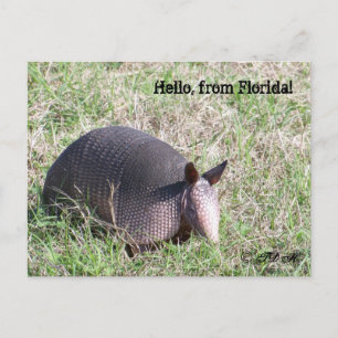 Hej, från Florida! Vykort