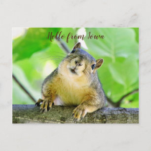 Hej från Iowa vycard Vykort