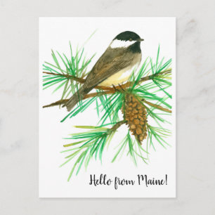 Hej från Maine Black Ccap Chickadee Bird Vykort