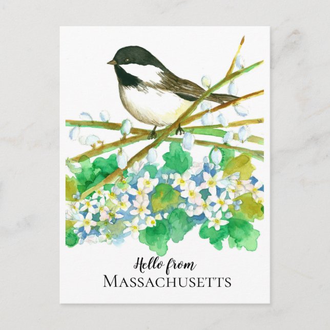 Hej från Massachusetts Chickadee Mayblomma Vykort (Framsida)