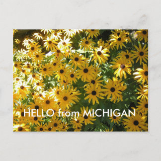 HEJ FRÅN MICHIGAN POST-KORT VYKORT