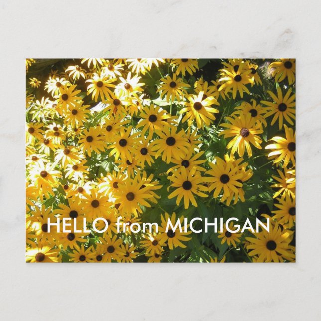 HEJ FRÅN MICHIGAN POST-KORT VYKORT (Framsida)