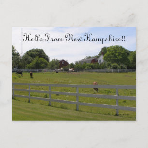 Hej från New Hampshire Vykort