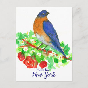 Hej från New York Bluebird Ro Vykort