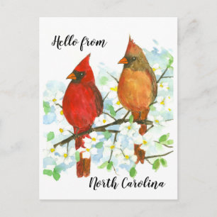 Hej från North Carolina Cardinals Vykort