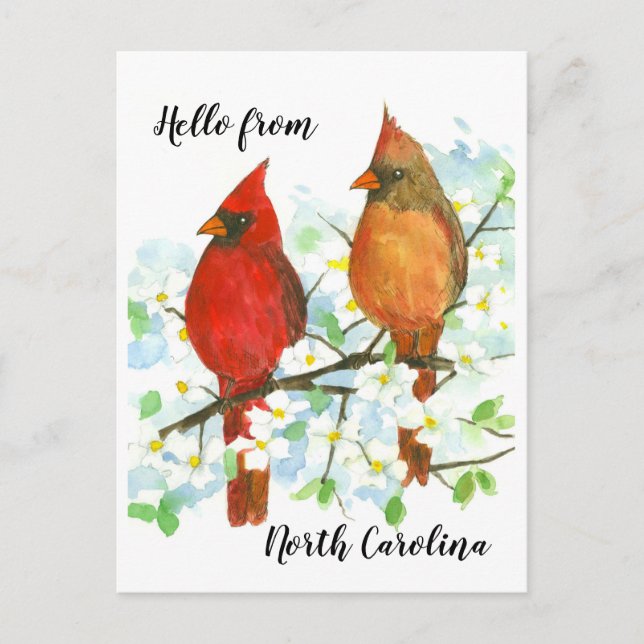 Hej från North Carolina Cardinals Vykort (Framsida)