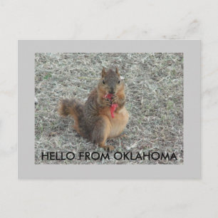HEJ FRÅN OKLAHOMA VYKORT