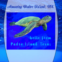 Hej från Padre Island TX Ocean Blue Sea Turtle Vykort