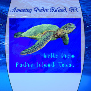 Hej från Padre Island TX Ocean Blue Sea Turtle Vykort