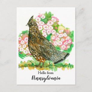 Hej från Pennsylvania Ruffed Grouse Bird Vykort