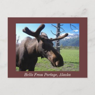 Hej från Portage, Alaska, Hej från Portage... Vykort