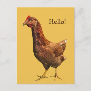 Hej från Red Hen Chicken-vykort Vykort