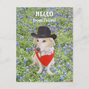 Hej från Texas! Vykort