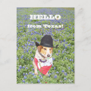Hej från Texas! Vykort