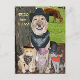 Hej från Texas! Vykort