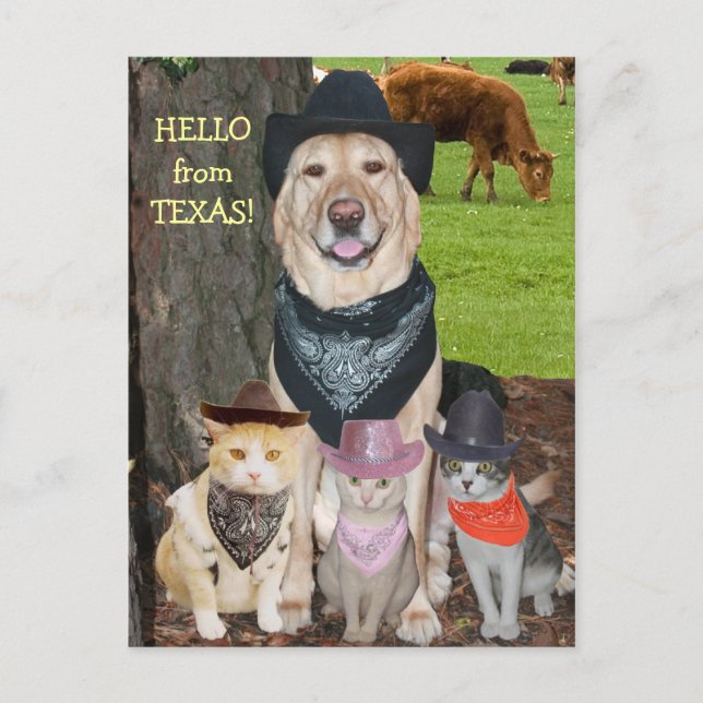 Hej från Texas! Vykort (Framsida)