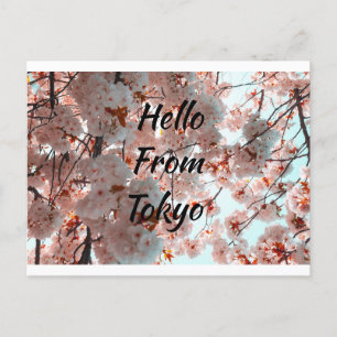 Hej från Tokyo vacker Sakura blomma Vykort