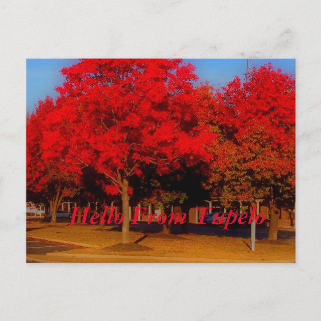 Hej från Tupelo Vykort (Framsida)