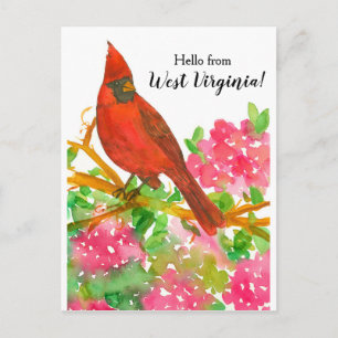 Hej från Väster Virginia Northern Cardinal Vykort