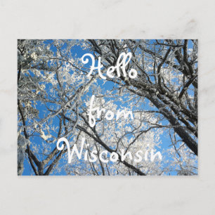 Hej från Wisconsin Söt Snowy Scenia Photo Vykort