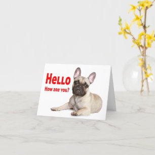 Hej Fransk Bulldog Hund Thinking of You Kärlek Kort