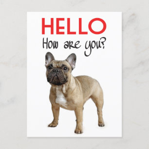 Hej Fransk Bulldog Puppy Hund Post Card Vykort